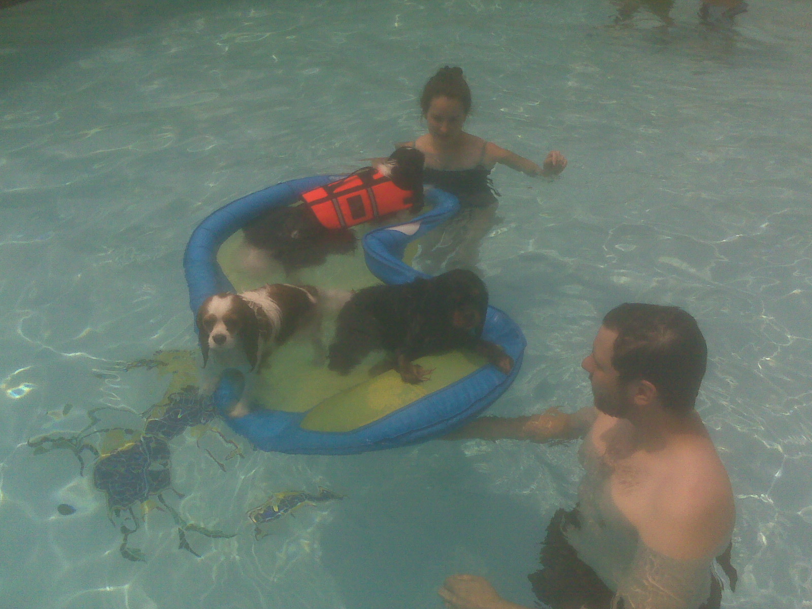 CKCS Meetup 061408 15.jpg